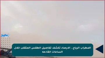 اضطراب الرياح.. الأرصاد تكشف تفاصيل الطقس المتقلب خلال الساعات القادمة